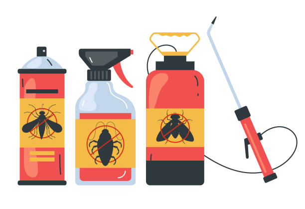 Best Wasp Removal Services  in Gulf Breeze, FL