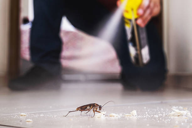 Best Best Pest Control Companies  in Gulf Breeze, FL