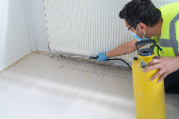 Best Mosquito Control Services  in Gulf Breeze, FL